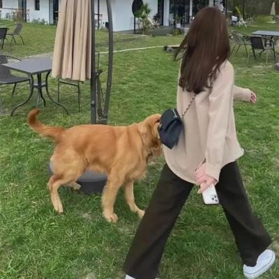 鬼姐姐