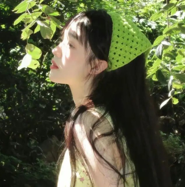 太阳花
